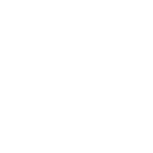 en video